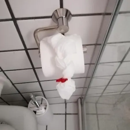 Il Gelsomino Di 度假居 欧苏西奥